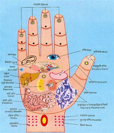 Massaging Pressure Points in Palm and Underfeet to Revitalize Organs - Yoga