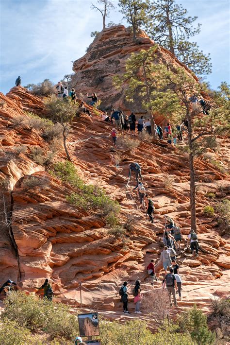 Want to hike Angels Landing in Zion National Park? Apply for your ...