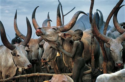 TRIP DOWN MEMORY LANE: DINKA PEOPLE: THE GREAT CATTLE HERDERS OF SUDAN