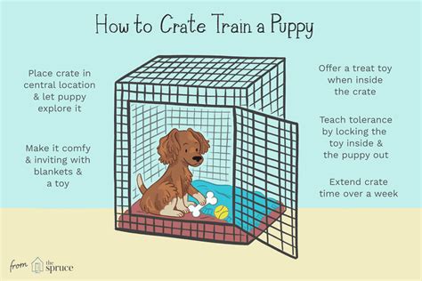 Crate Training Your Puppy