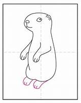 Easy How To Draw A Prairie Dog Tutorial And Coloring Page sketch template