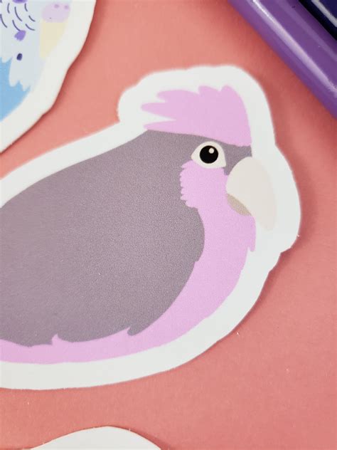 3 Vinyl Parrot Stickers for Bird Lovers - Etsy