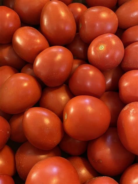 Plum Tomatoes, Spain – Marshford Organic Foods