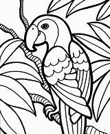 Papegaai kleurplaat  Kleurplaatjenl sketch template