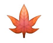 Until There's a Weed Leaf Emoji Here are 5 Weed Symbols On Your Phone