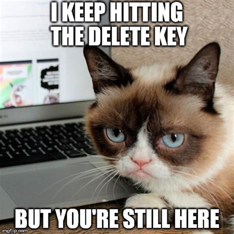 Image tagged in grumpy cat,delete - Imgflip