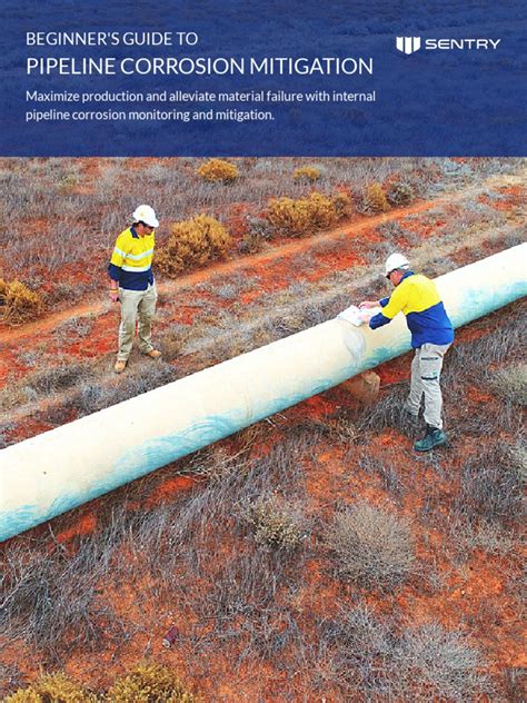 Pipeline Corrosion Mitigation | PDF | Pipeline Transport | Fluid Dynamics