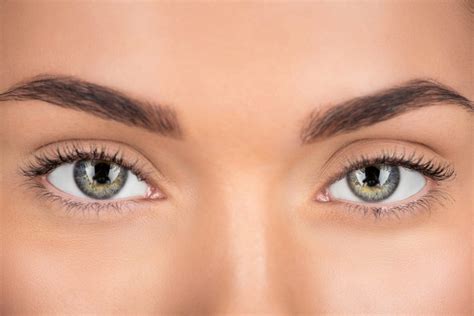 The Purpose of Eye Brows and Eye Lashes | Millennium Laser Eye Centers