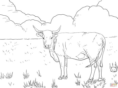Cattle coloring pages | Free Coloring Pages | Cow coloring pages, Animal coloring pages ...
