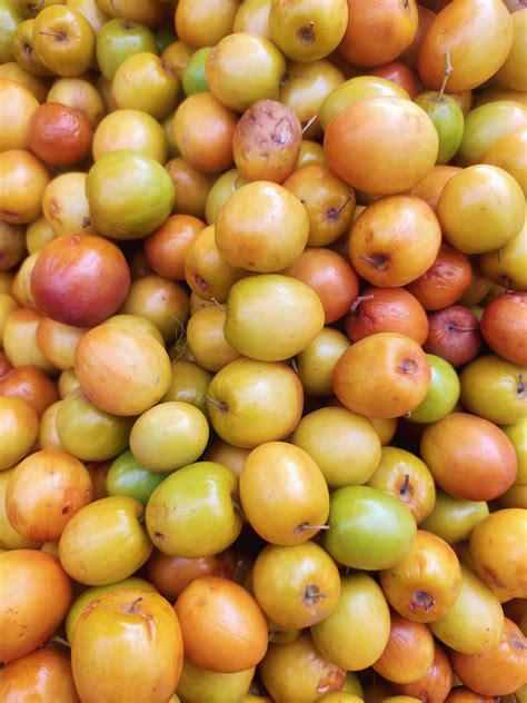 A pile of jujube berries - PixaHive