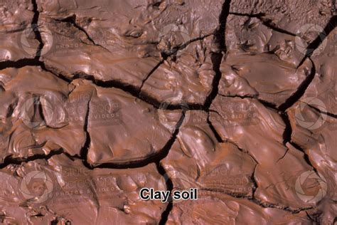 Clay soil - Types of soil structure - Types of soil structure - Rocks and Petrology - Photos