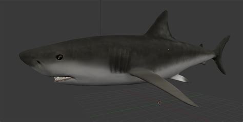 3d model shark ready