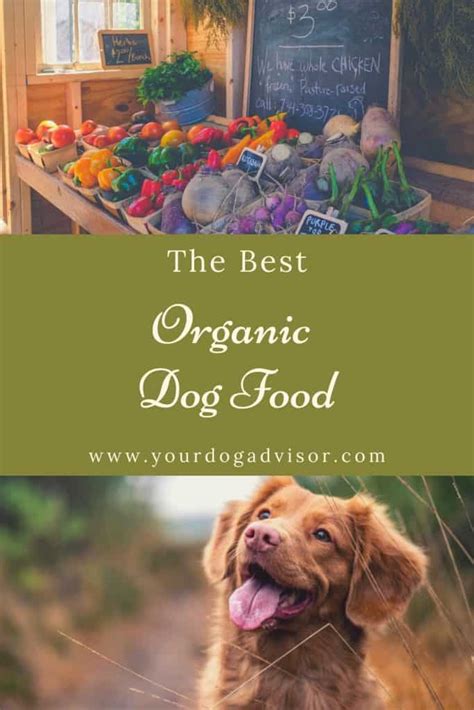 Best Organic Dog Food Brands | Your Dog Advisor