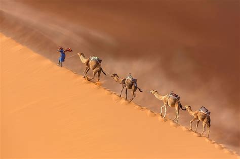 Sahara Desert - WorldAtlas