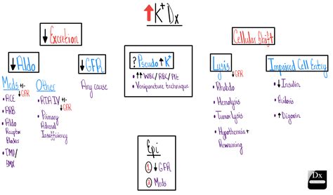 Hyperkalemia – causes – The Clinical Problem Solvers