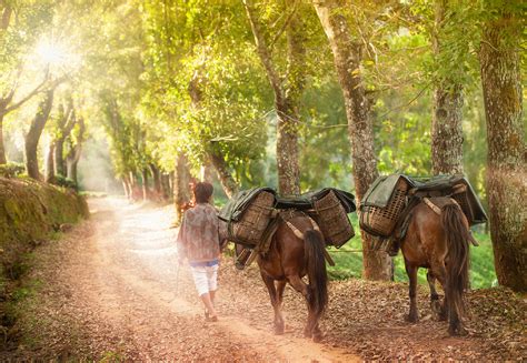 Videos from Visit Yunnan to Showcase the History, Culture of the ...