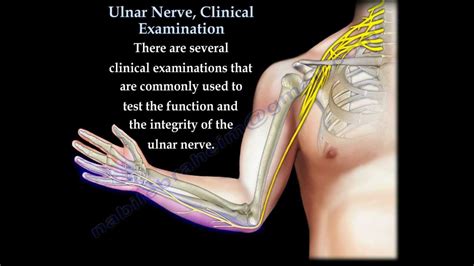 Ulnar Nerve, Clinical Examination - Everything You Need To Know - Dr. Nabil Ebraheim - YouTube