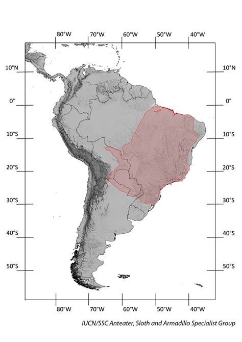 Seven-banded armadillo | IUCN SSC Anteater, Sloth and Armadillo ...