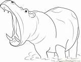 Hippopotamus Open Mouth Coloring Page For Kids  Free sketch template
