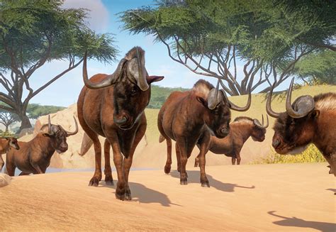 Black wildebeest - Planet Zoo