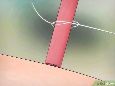 3 Ways to Remove a Deer Tick - wikiHow