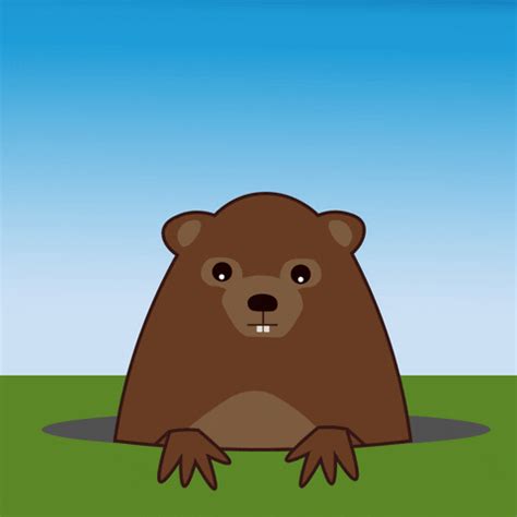 Groundhog Day GIFs - Find & Share on GIPHY