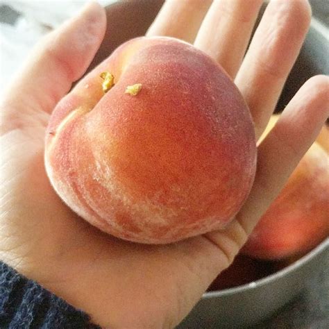 Elberta Peach Tree | Peach, Peach trees, Fruit