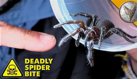 Video: Coyote Peterson Visits the Land Down Under to Learn More About the World's Deadliest ...