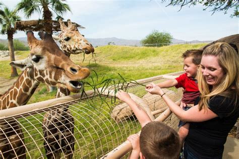 Vote - The Living Desert Zoo and Gardens - Best Zoo Nominee: 2019 10Best Readers' Choice Travel ...