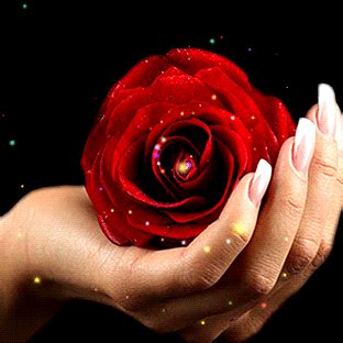Hand Holding Sparkling Rose