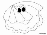 Clam Coloring Page At GetDrawings  Free Download sketch template