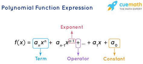 Polynomial Function - Graph, Definition, Formulas, Types