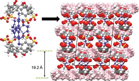 Extended structure of complex II showing 'molecular capsules' confined... | Download Scientific ...