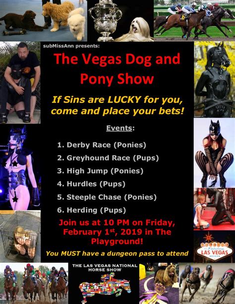 Dog and Pony Show | Los Angeles Pony and Critter Club