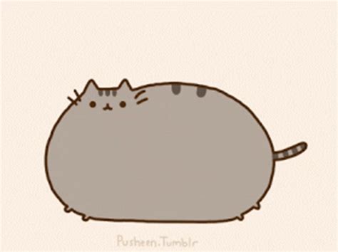 Chubby Pusheen Cat Bouncing GIF | GIFDB.com