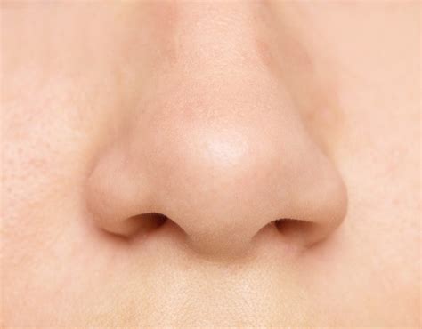 Is Nasal Reconstruction Different from Cosmetic Nasal Surgery? | Dr. Hung