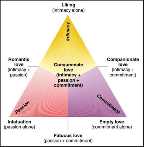 The Triangular Theory Of Love - Happy HO