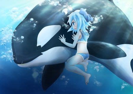 Anime Orca | Wiki | Anime Amino