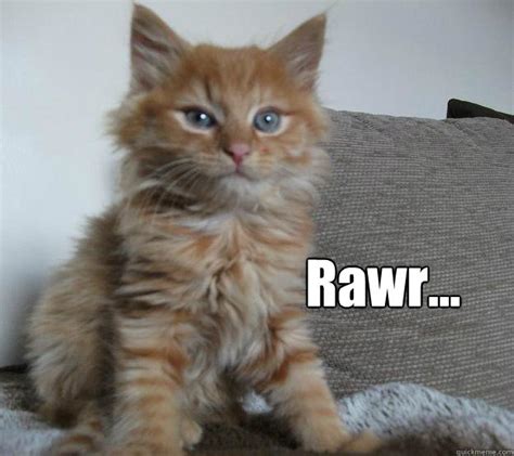 Rawr... - Charlie Cat - quickmeme