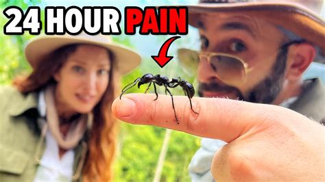 Bullet Ant Challenge - Will It Sting?! - YouTube