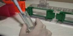 Explanation of Proteomics 2D Gel Electrophoresis - DnaTube.com - Scientific Video and Animation Site