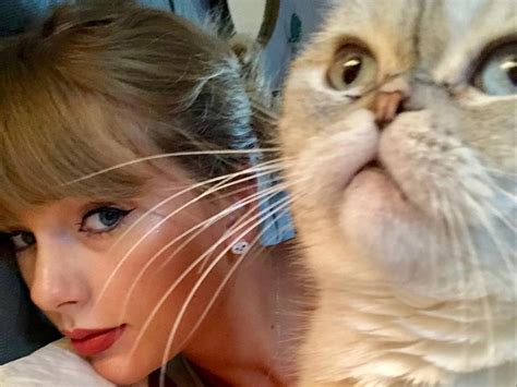 Taylor Swift’s cat is reportedly the third-richest pet in the world, worth $97 million | The ...