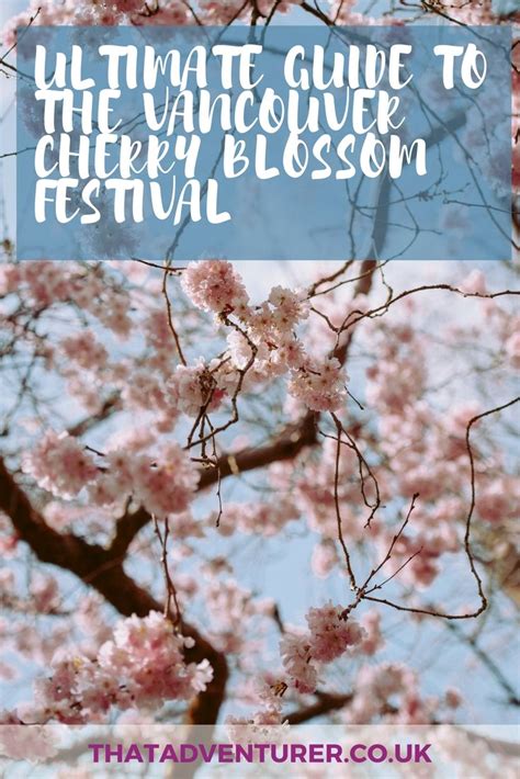 Want to find Vancouver's cherry blossoms this spring? Here's everything ...