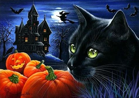 10 New Halloween Black Cats Wallpaper FULL HD 1920×1080 For PC Desktop 2023