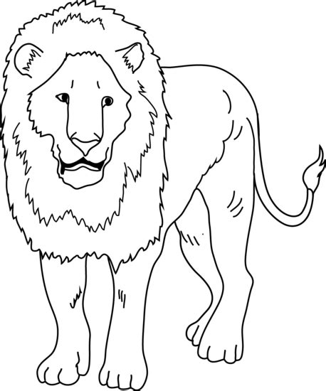 lion outline clipart 10 free Cliparts | Download images on Clipground 2024