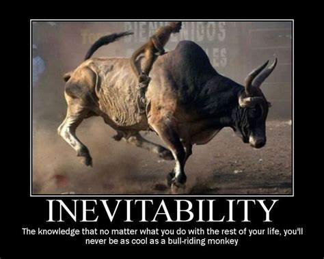 Inevitability | Bull riding, Funny pictures, Motivational posters