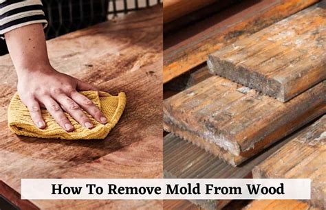 How To Remove Mold From Wood: Effective Techniques