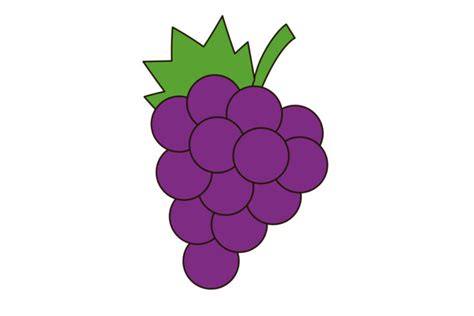 How to Draw Grapes in 12 Easy Steps - VerbNow