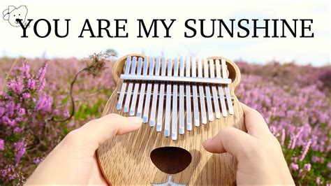 You Are My Sunshine | Kalimba cover with easy Tabs - YouTube