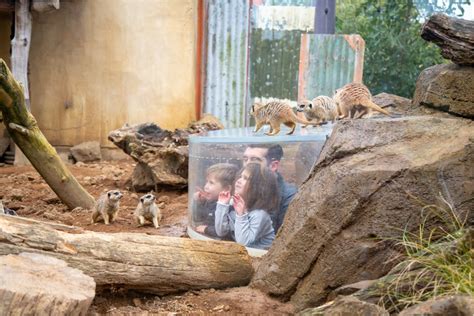 Auckland Zoo - GetAboutAble